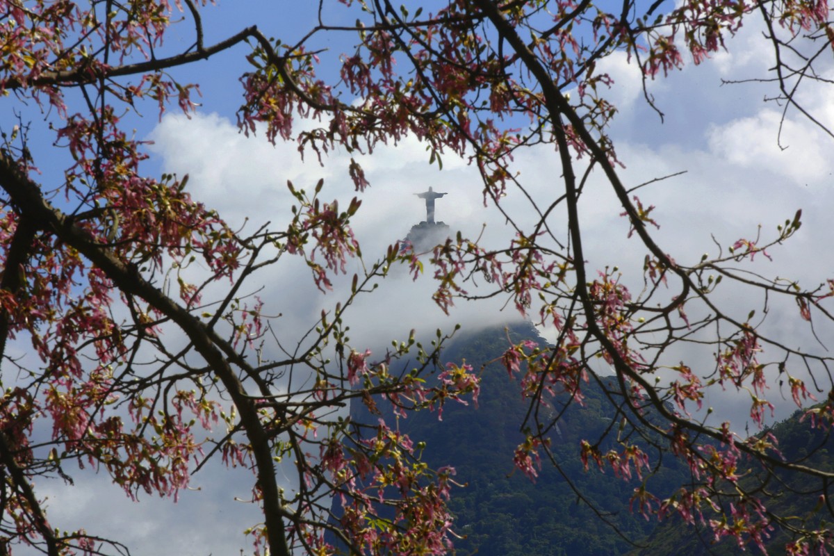 Foto:Reprodução