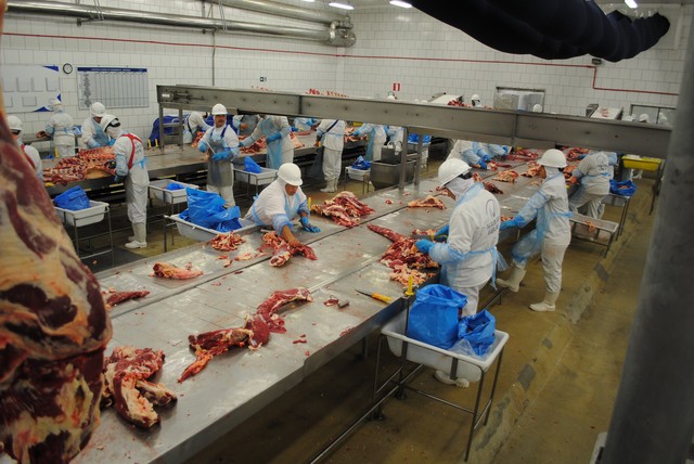 Setor de carnes enfrenta queda de até 10% na B3 após aumento de tarifas Foto: Reprodução