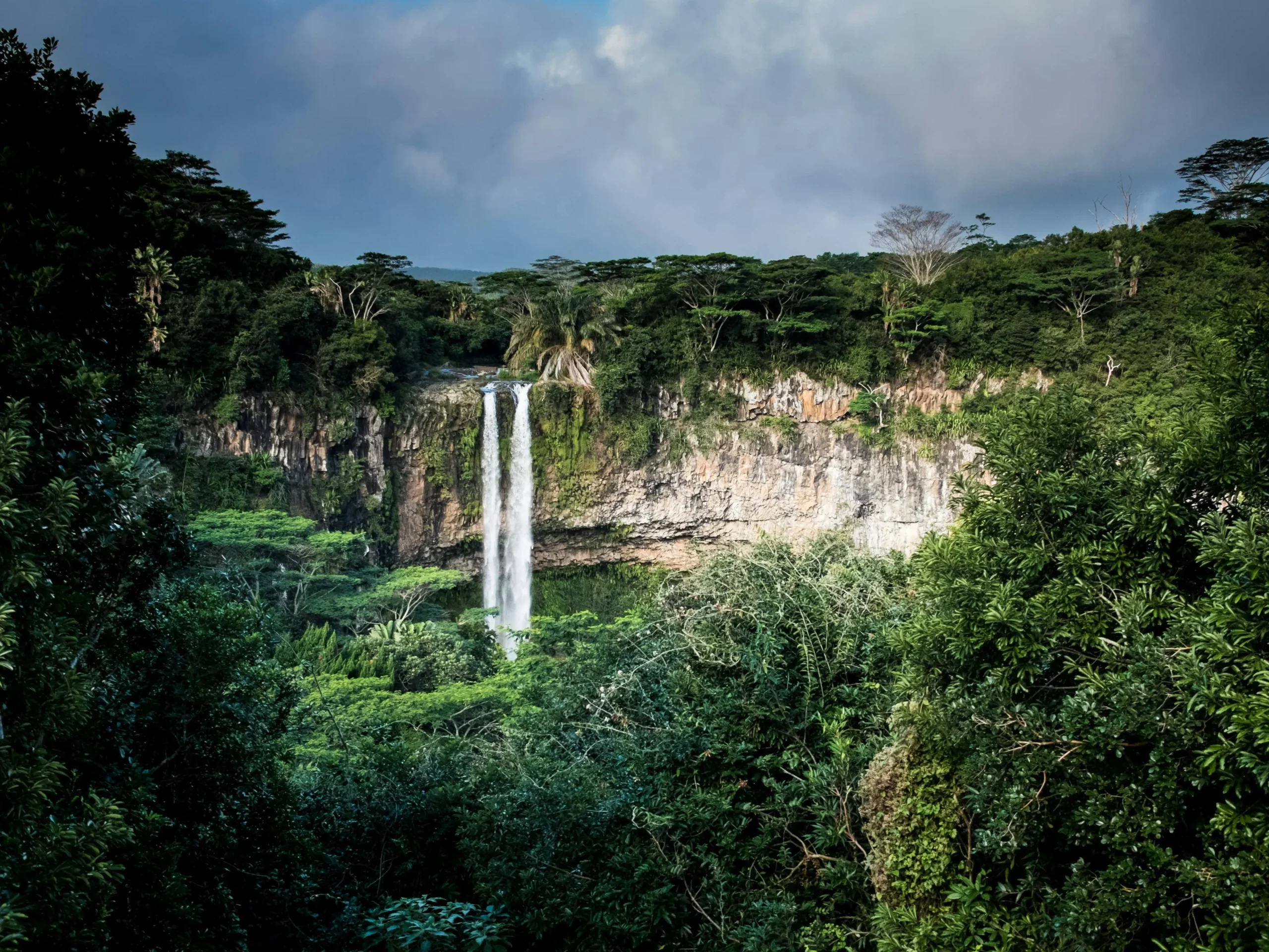 Natureza é reconhecida como artista em movimento inovador de valorização ambiental Foto de Olivier Graziano na Unsplash (Foto: Olivier Graziano)
