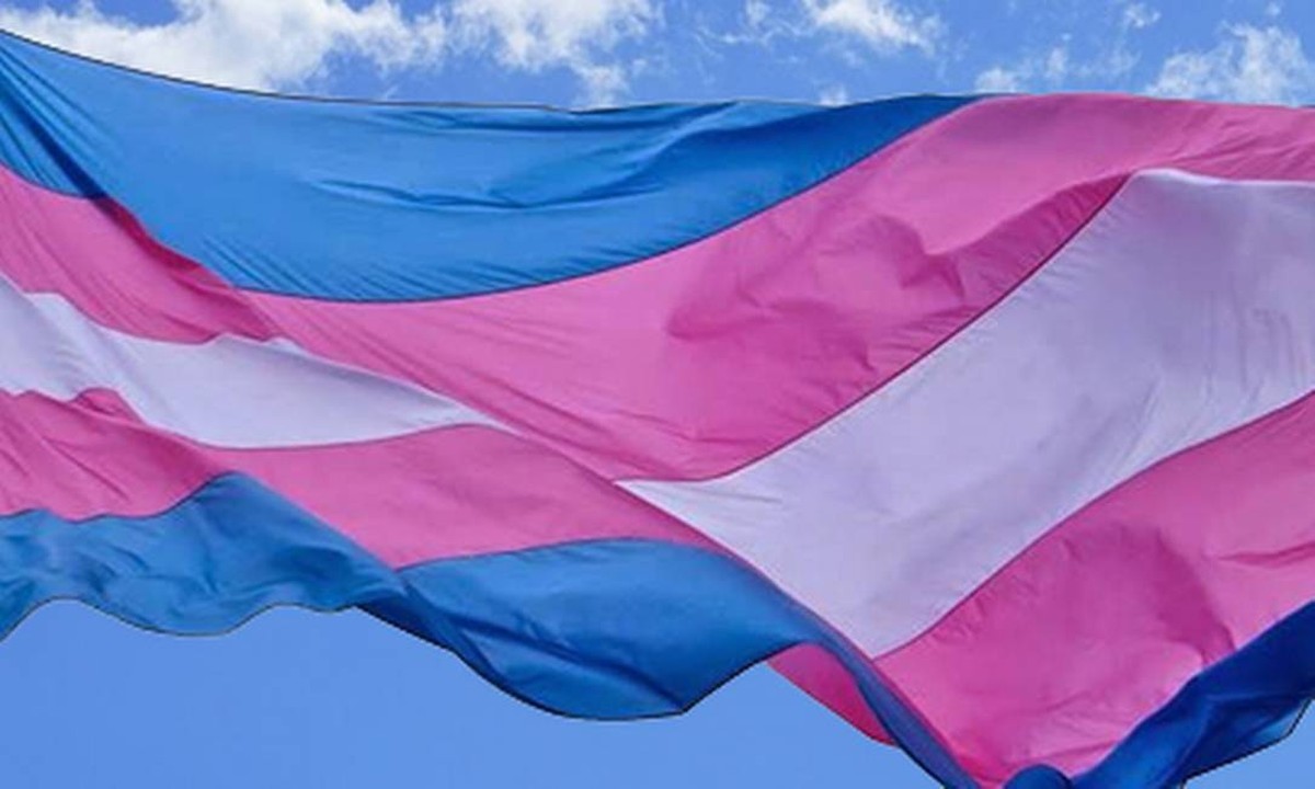 Oito estados aprovam leis que restringem direitos de pessoas trans em vez de ampliar Bandeira trans: menos direitos em propostas que tramitam em oito estados (Foto: Reprodução)
