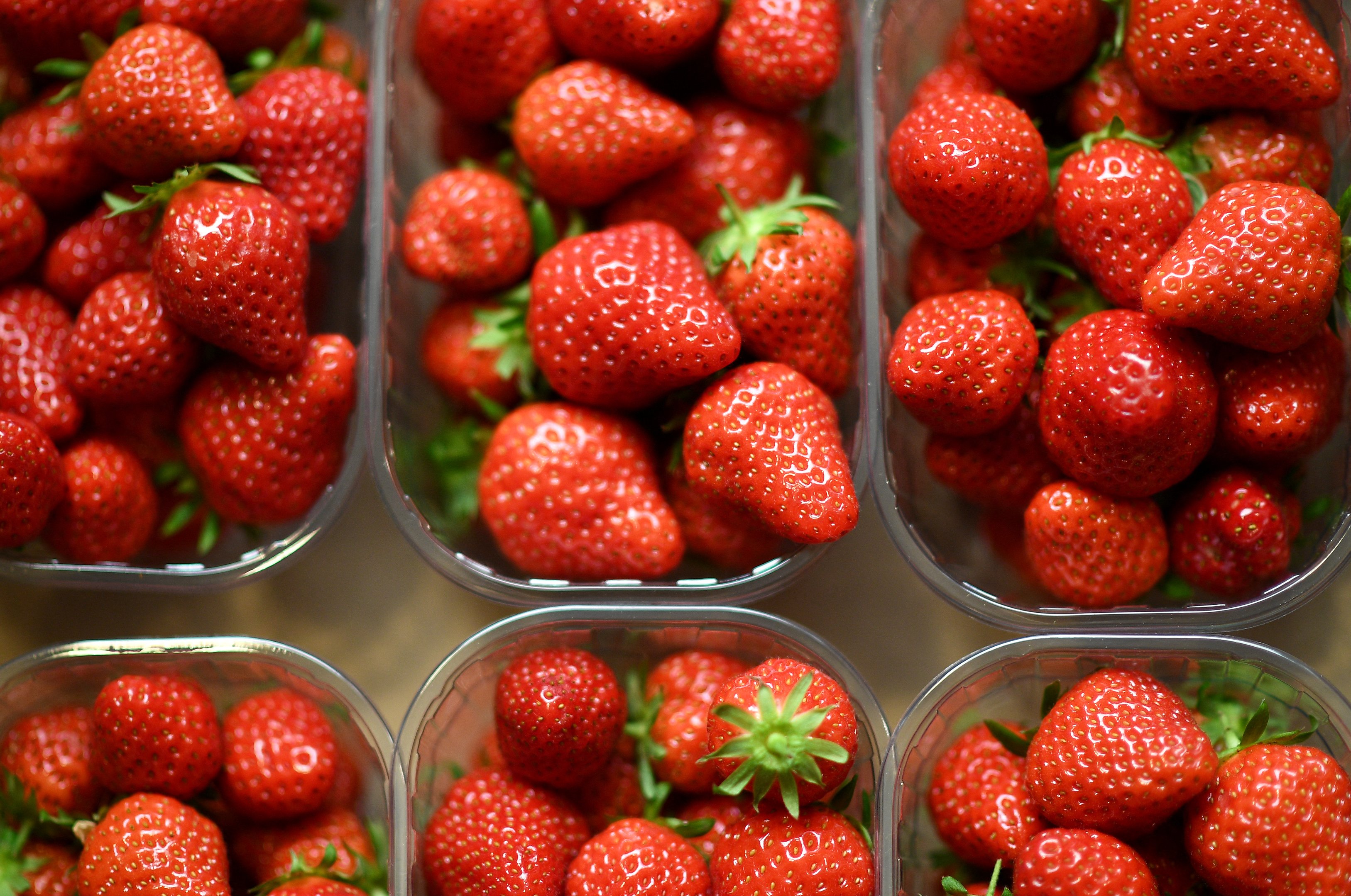 Morango japonês se torna presente de luxo nos EUA com preço de US$ 19 a unidade Preço da carne moída sobe 16% nos EUA, hambúrguer fica mais caro — e Brasil expande exportação (Foto: Reprodução)