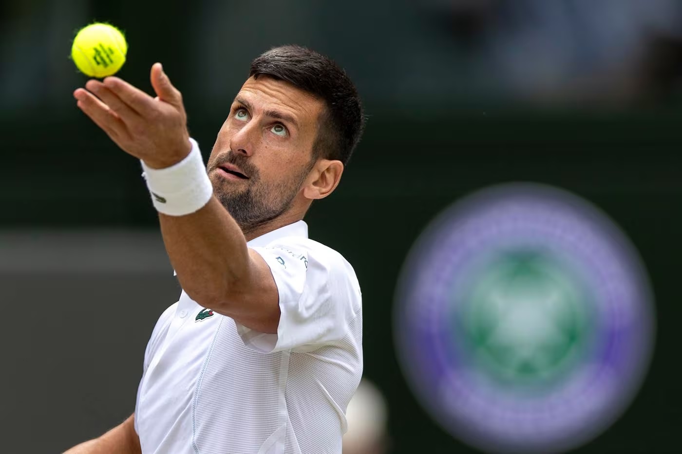Djokovic enfrenta Draper e Sinner na disputa pelo octacampeonato Foto: Reprodução