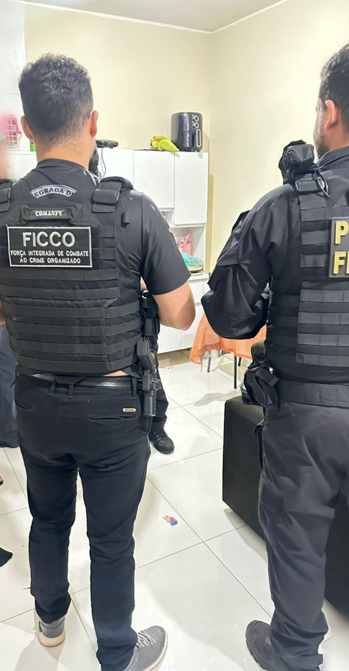 Foto:Reprodução
