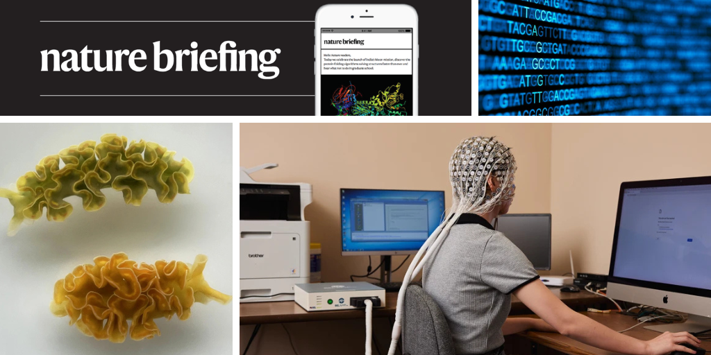 A eletroencefalografia pode ser usada para estudar a atividade cerebral enquanto as pessoas realizam tarefas com e sem a ajuda de chatbots como o ChatGPT. (Foto: Leah Nash/Washington Post/Getty)