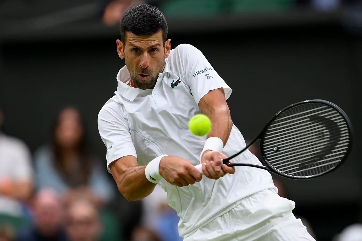 Djokovic vence em quatro sets e avança com confiança no torneio de Wimbledon Foto: Reprodução