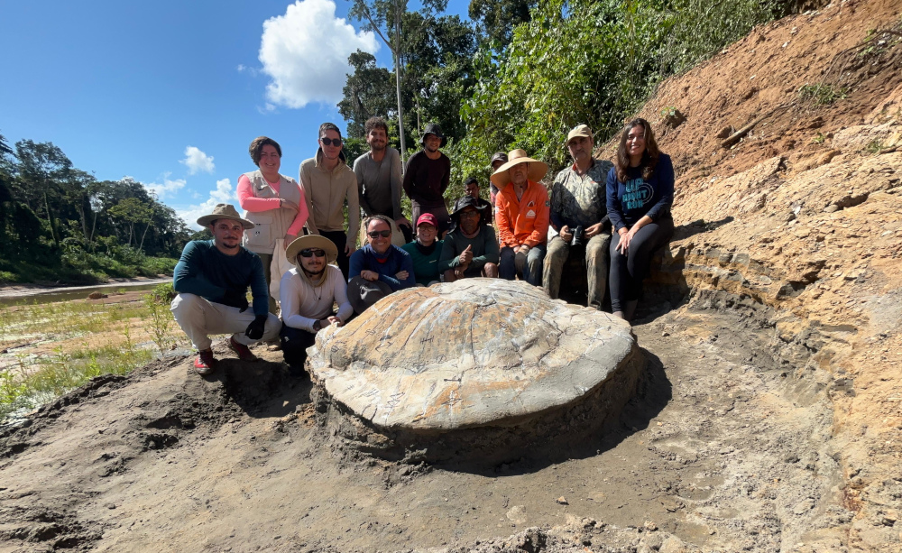 Fóssil de tartaruga gigante de 10 milhões de anos é descoberto no Acre MILENAR - Equipe de cientistas com o fóssil da tartaruga gigante: mais de 10 milhões de anos (Foto: Ufac/USP/Unicamp/Divulgação)