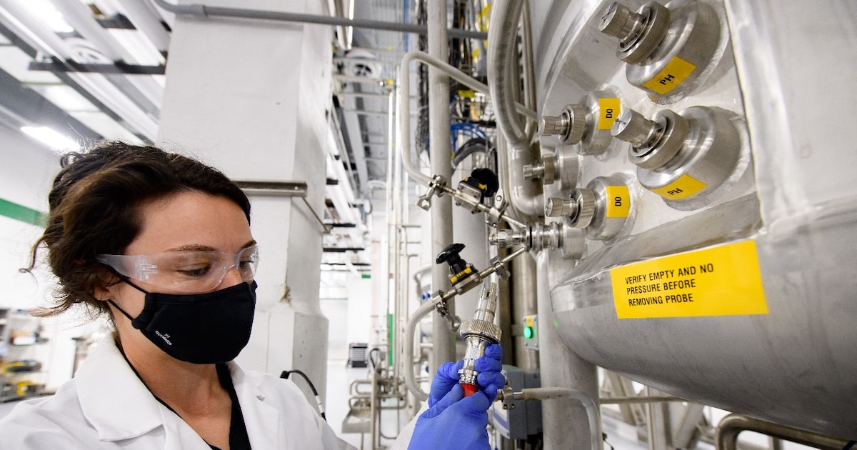 Empresa investe em biotecnologia com RNA para controlar pragas na agricultura brasileira