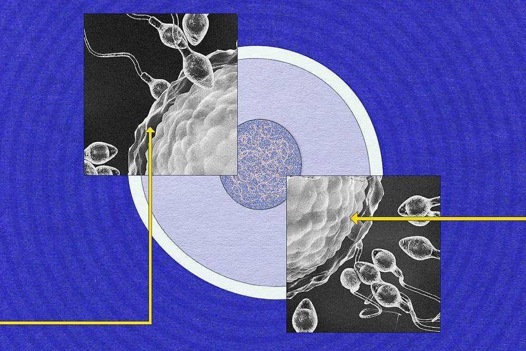 Cientistas revelam mistérios sobre o espermatozoide e sua importância na reprodução Os cientistas ainda tentam responder muitas perguntas sobre o esperma (Foto: BBC)