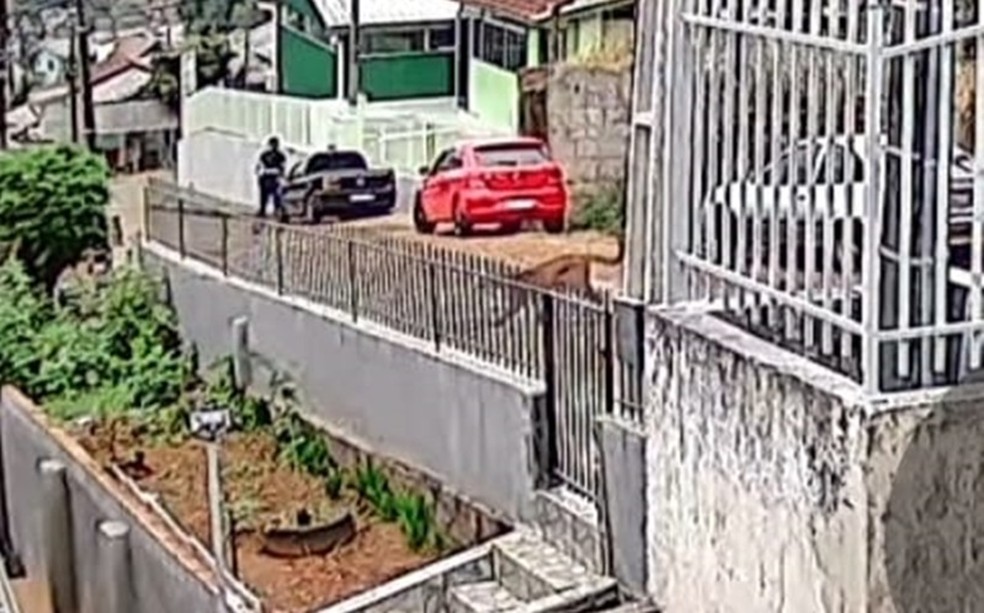Foto:Reprodução