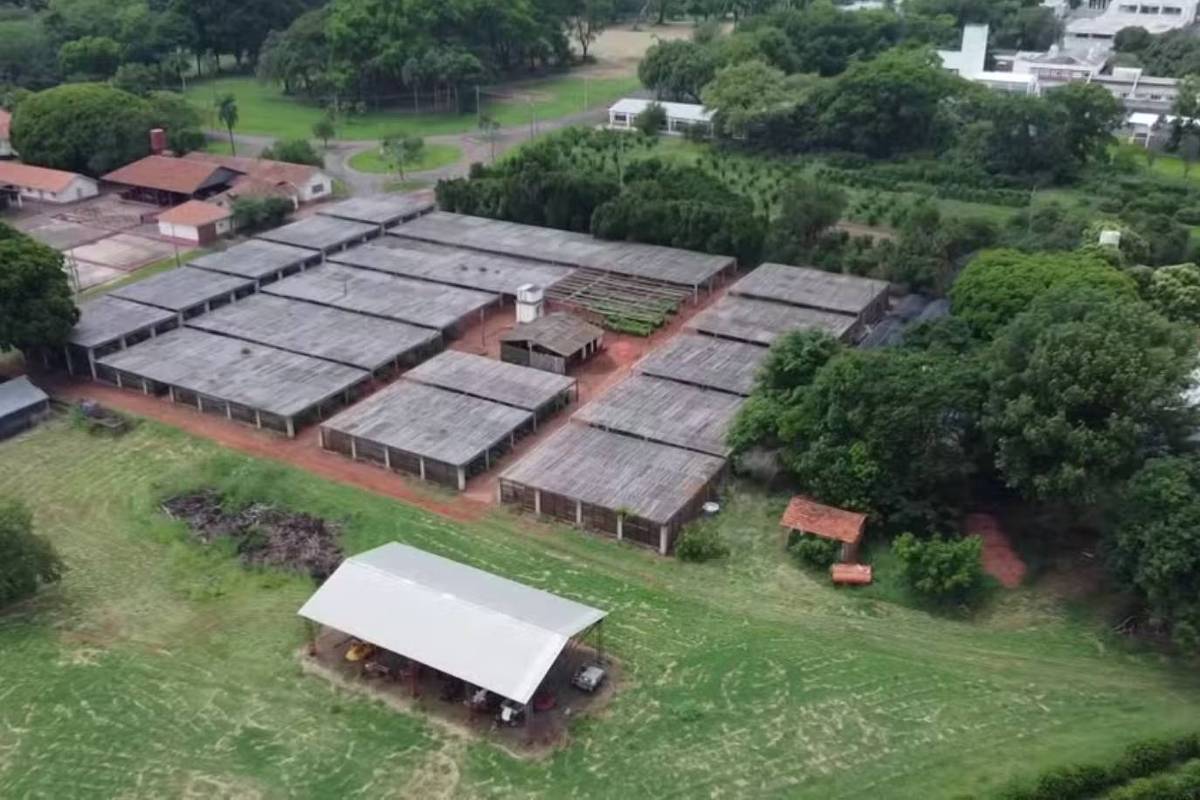 Foto:Reprodução