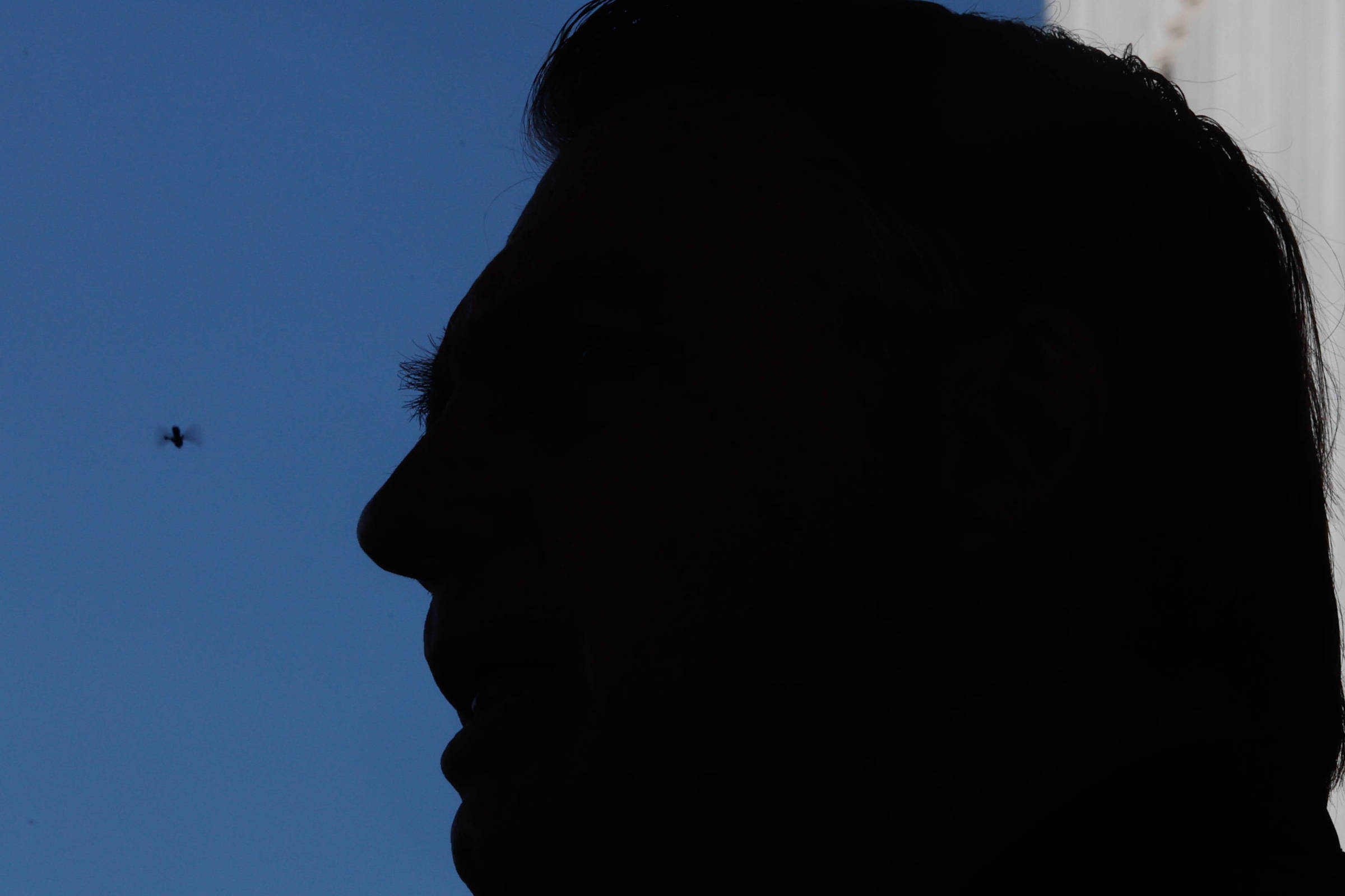 Bolsonaro ignora críticas e se isenta de responsabilidade pelo aumento de tarifas O ex-presidente Jair Bolsonaro no Senado Federal; na imagem, com uma abelha (Foto: Gabriela Biló/Folhapress)