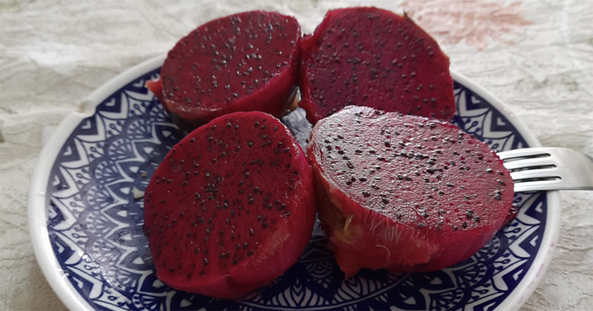 Pitaya probiótica ativa gene que combate inflamações intestinais Duas metades de pitaya vermelha colocadas em um prato azul, em cima de uma toalha branca. (Foto: USP Imagens)