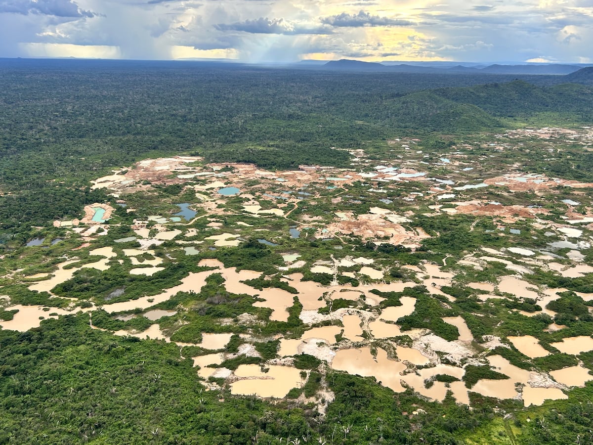 Foto:Reprodução
