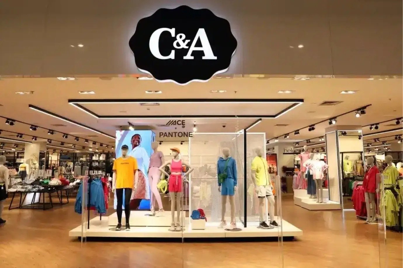 C&A encerra parceria com Bradesco e investe R$ 650 milhões em recompra de serviços Três ações defensivas ganham força entre os analistas mais respeitados de Wall Street (Foto: Reprodução)