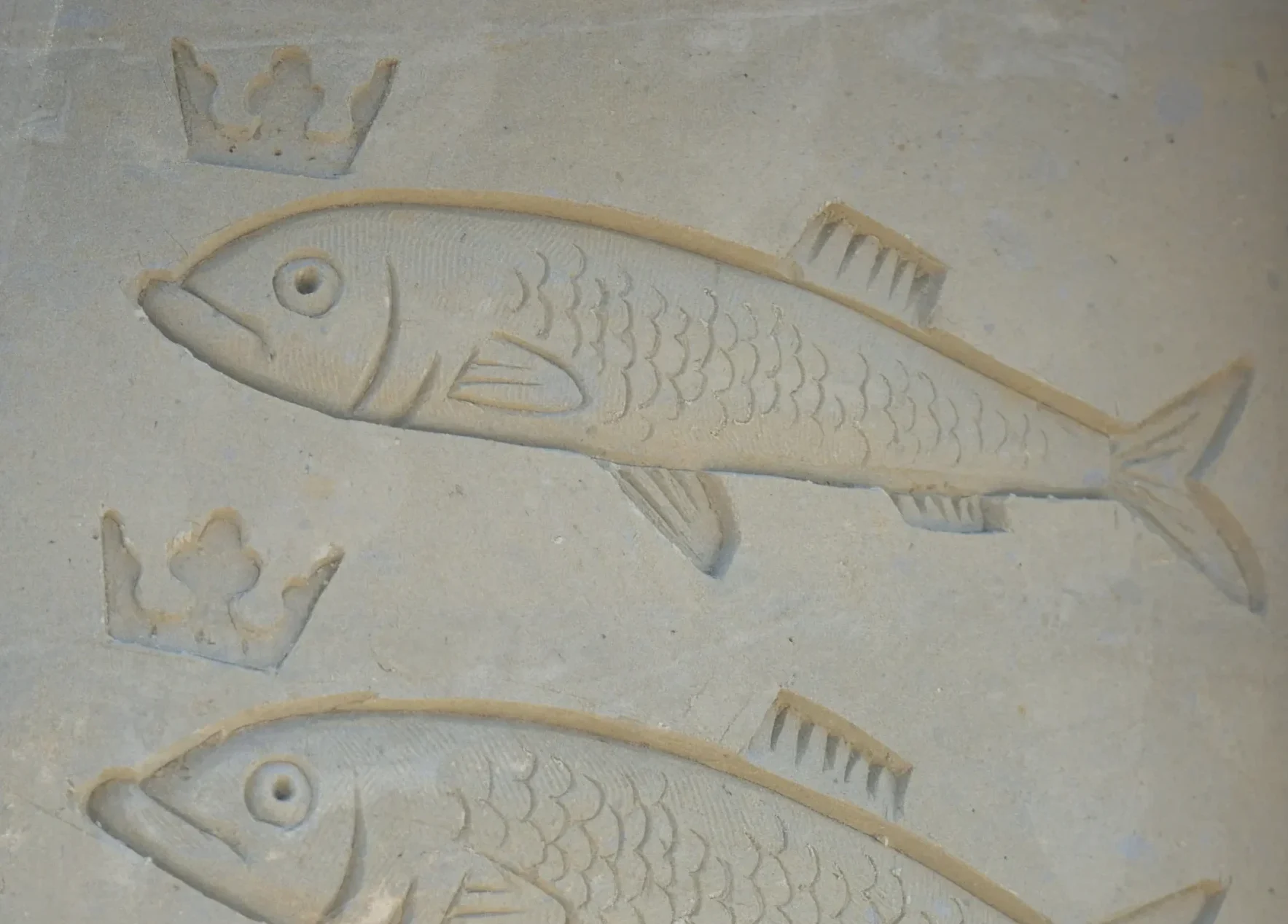 Cientistas descobrem novo peixe predador que habitou os mares antigos Foto: Reprodução