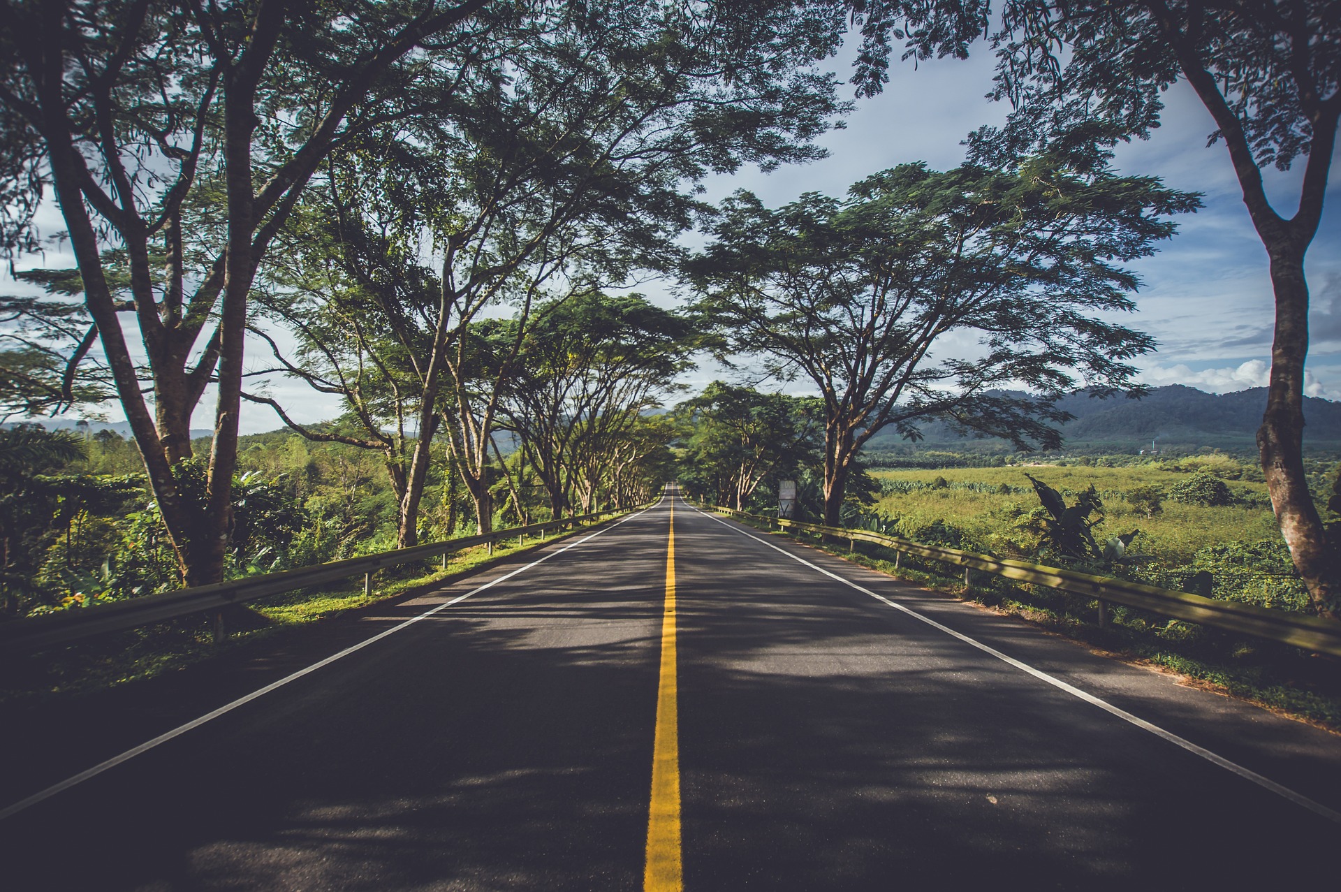 Ecorodovias e Motiva: analistas avaliam preferências entre as ações Rodovias (Foto: Reprodução)