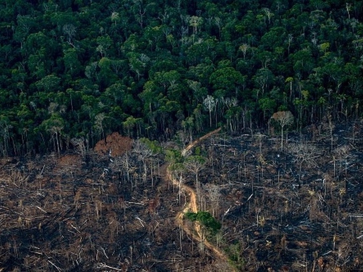 Organizações buscam pacto para garantir US$ 7 bilhões anuais à Amazônia Proposta alerta para o risco de colapso climático global caso a Amazônia atinja seu ponto de não retorno (Foto: GETTY IMAGES)