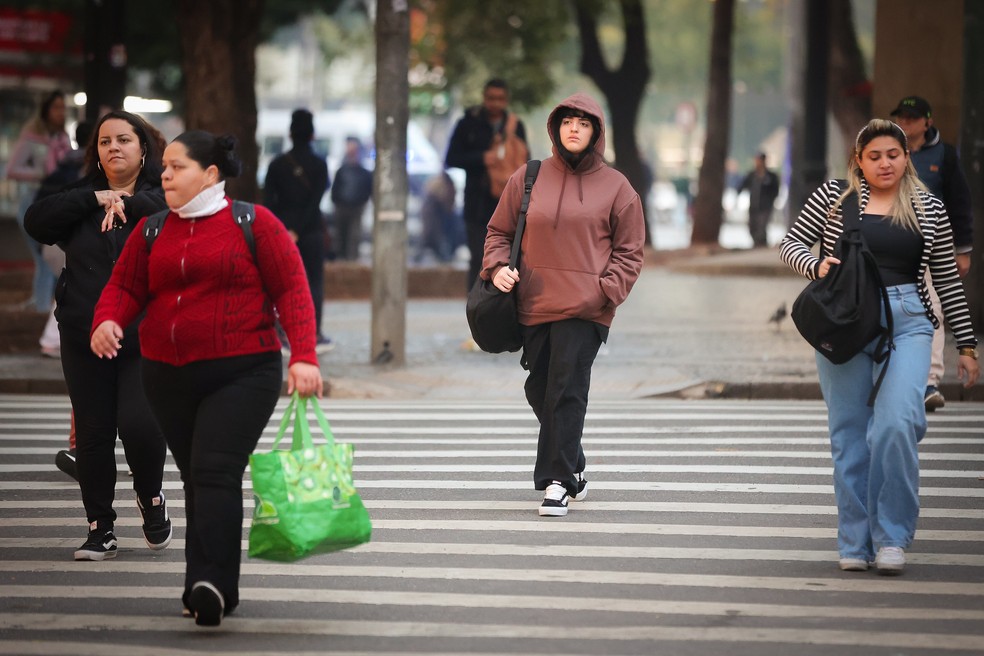 Pedestres caminham em dia de frio na capital paulista. (Foto: Divulgação/Governo de SP)