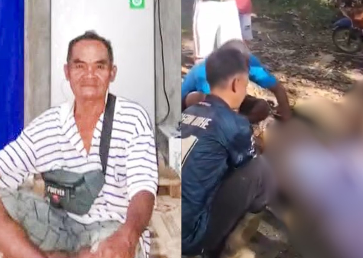Agricultor é encontrado morto após ser engolido por píton de oito metros na Indonésia Agricultor é engolido por píton de oito metros na Indonésia (Foto: Reprodução/DailyMail e Reprodução/X)