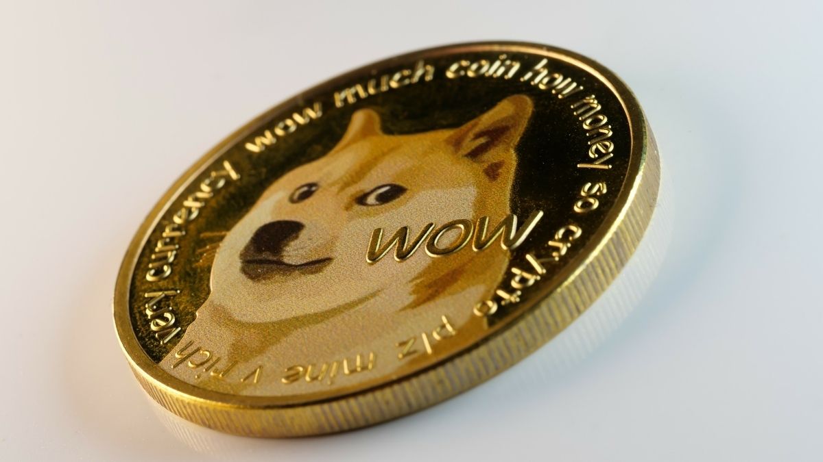 Memecoin valoriza 1.200% em uma semana; descubra como identificar oportunidades memecoin criptomoedas doge coin (Foto: Reprodução)