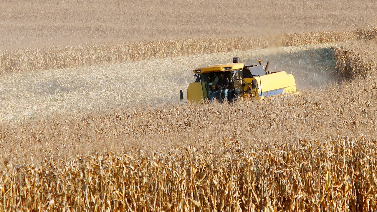 Colheita de milho na região de Campo Mourão, norte do Paraná: agropecuária puxou desempenho do estado para cima (Foto: Governo do Paraná/Divulgação)