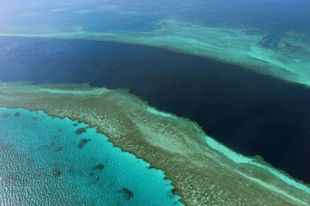 Crise climática acelera extinção de espécies em todo o planeta A Grande Barreira de Corais, na Austrália, é a maior estrutura viva do mundo. (Foto: Reprodução/AFP)