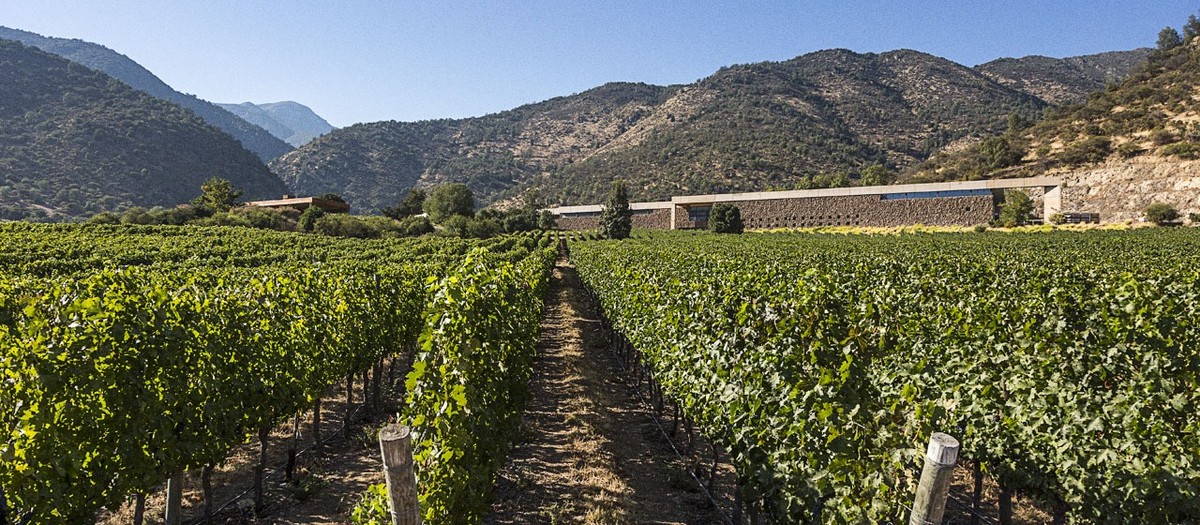 Sideral e Altair: descubra os vinhos chilenos que celebram o céu e os Andes A viña San Pedro, no Chile (Foto: Divulgação)
