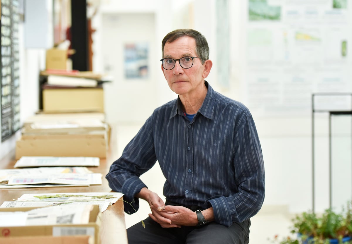 Flores representam órgãos sexuais, revela botânico Daniel Gómez Daniel Gómez, pesquisador do Instituto Pirenaico de Ecologia em Jaca, Espanha. (Foto: Verónica Lacasa)
