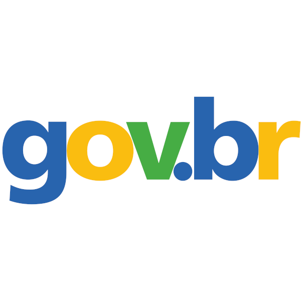 Força Nacional do SUS é enviada para apoiar vítimas de acidente em Goiás Foto: Reprodução