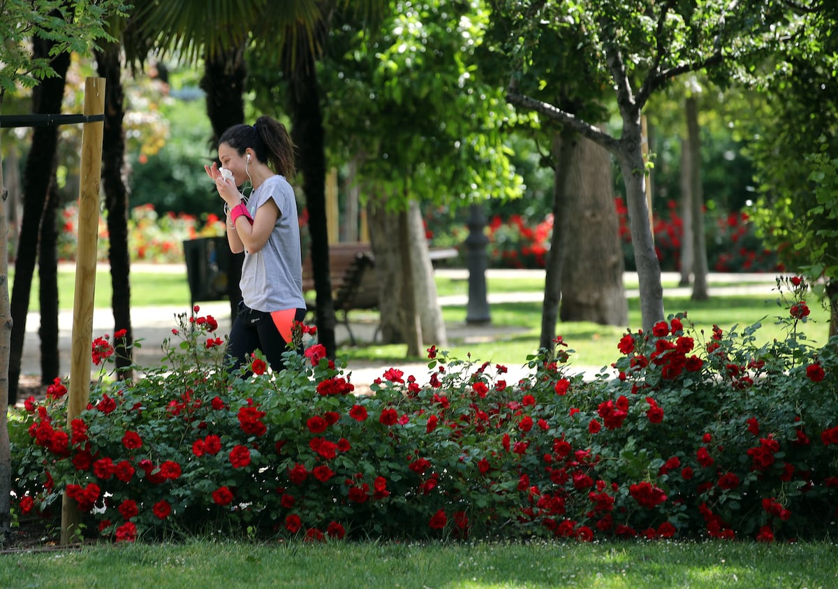 Foto:Reprodução