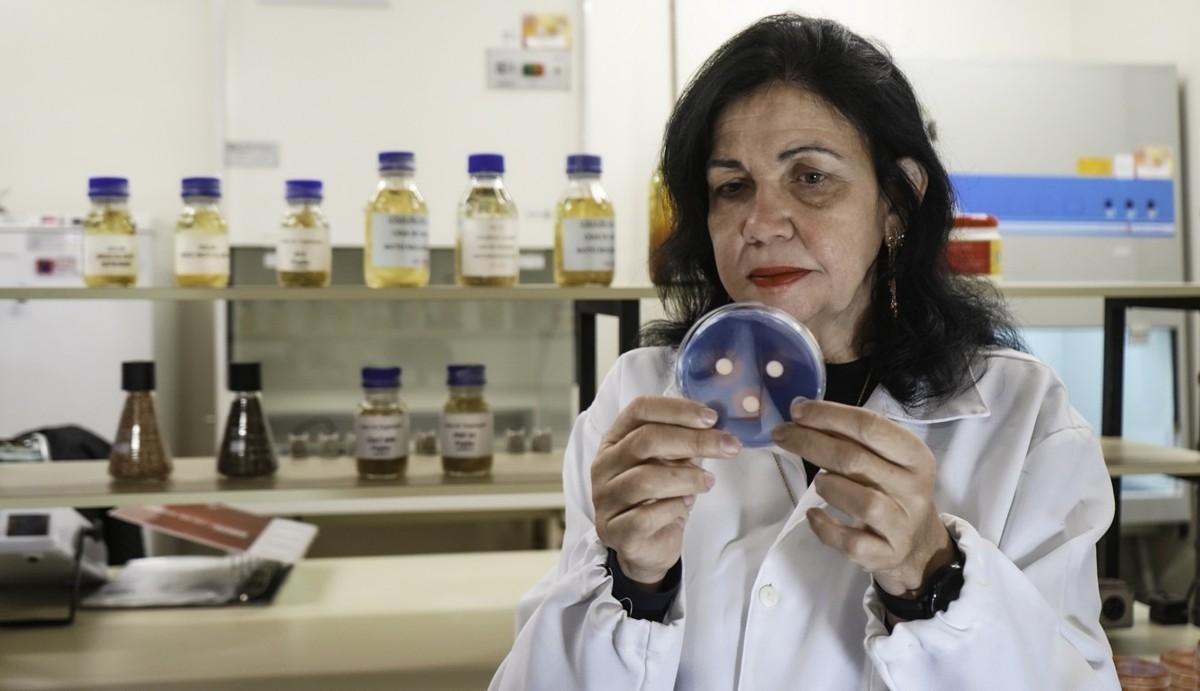 Foto:Reprodução