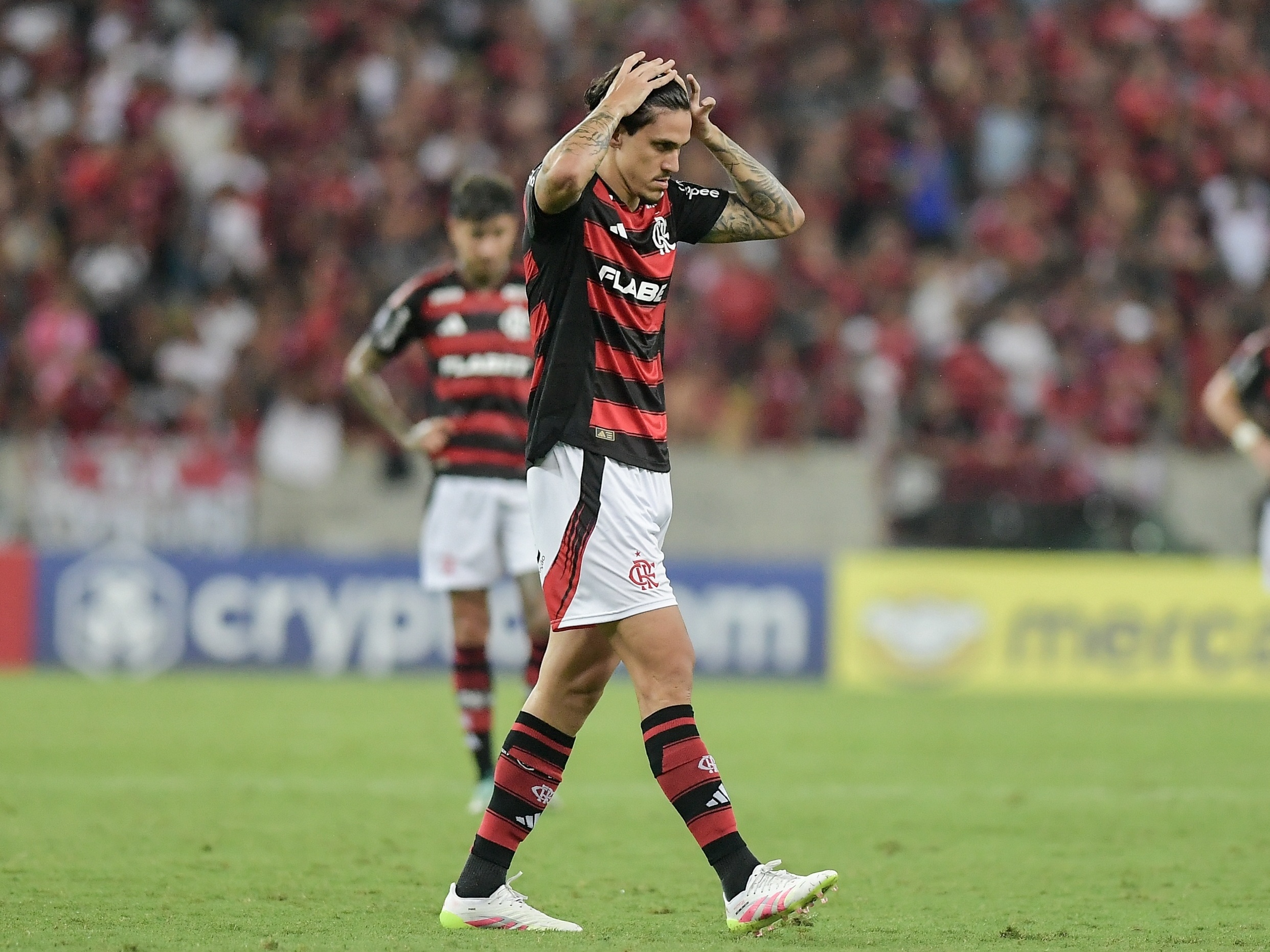 Foto:Reprodução
