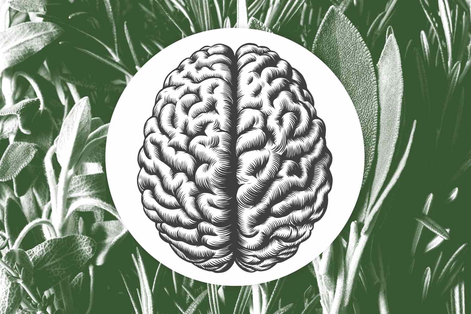 Erva favorita pode se tornar tratamento promissor para Alzheimer Credit: Food & Wine / Getty Images
Comida e vinho (Foto: Food & Wine / Getty Images)