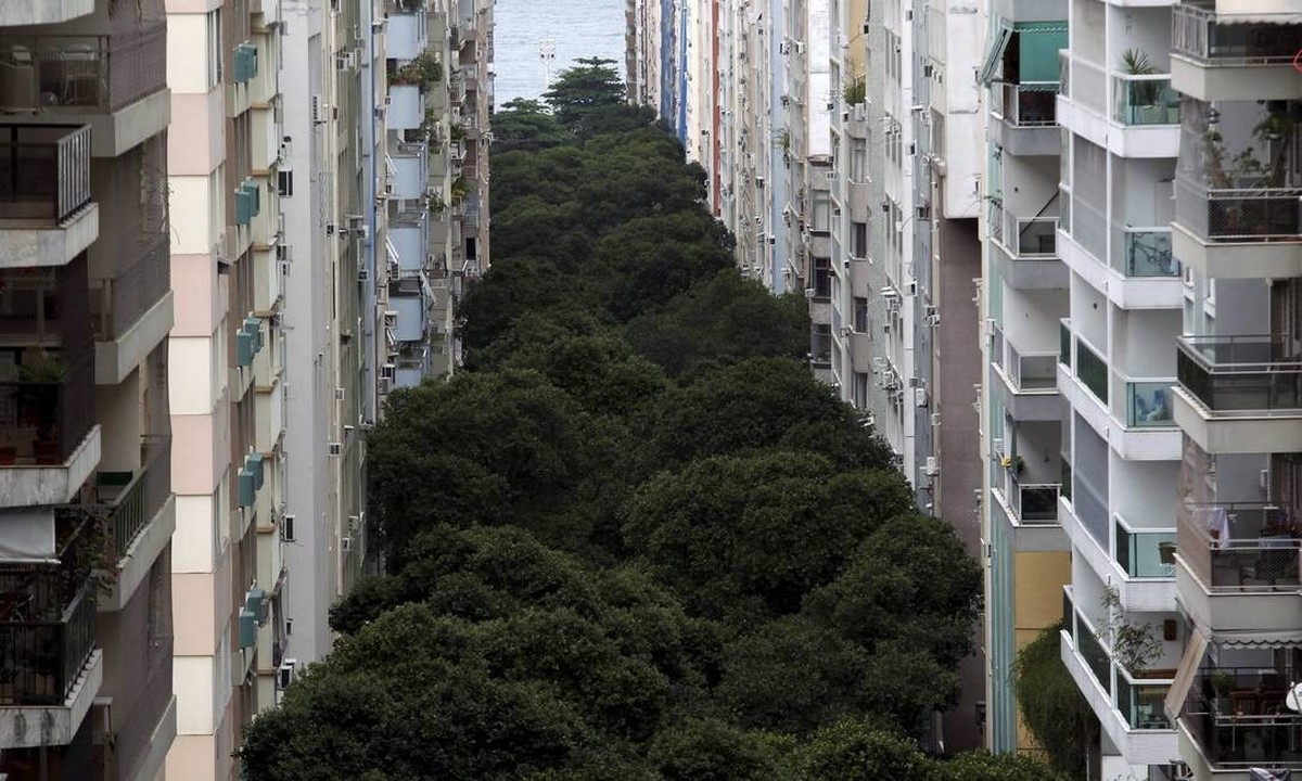 Câmara aprova proteção de árvores de rua em Copacabana para preservação ambiental Vista aérea da alameda da Rua Santa Clara, em Copacabana (Foto: Divulgação)