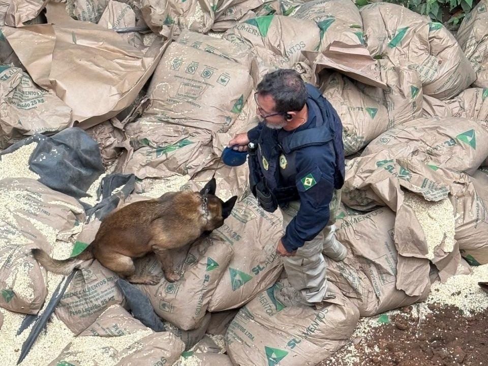 Foto:Reprodução