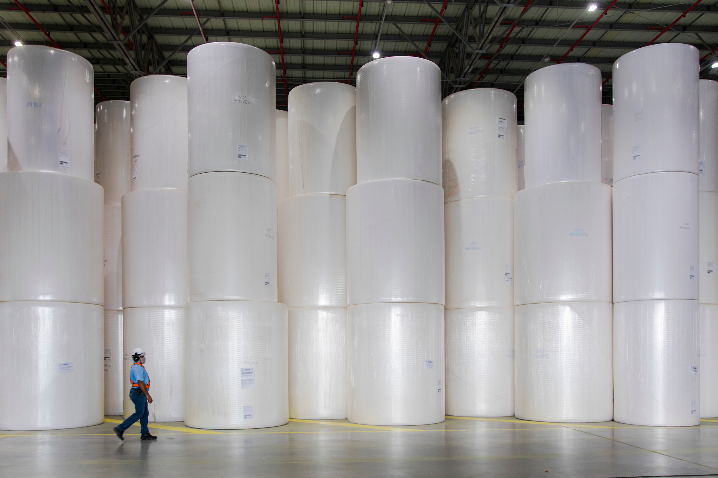 Klabin e Suzano apresentam resultados do 2T25 e expectativas do mercado se intensificam Bobinas de papel da Suzano (Foto: Divulgação)