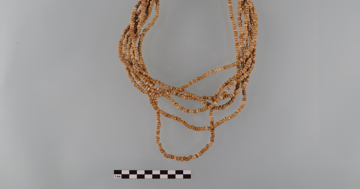 Colar de 8.500 anos, feito com contas de sementes dispostas em seis voltas. (Foto: Divulgação)
