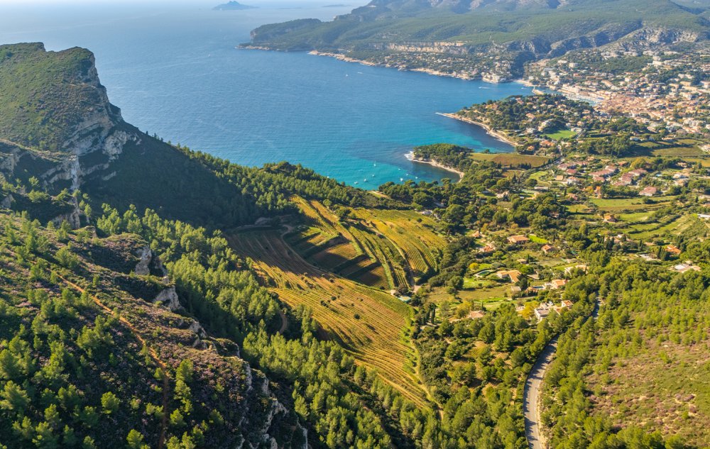 Descubra as melhores opções de enoturismo entre Cassis e Bandol para sua viagem Foto: Reprodução