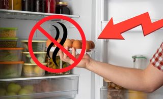 Gosto de geladeira pode afetar sua saúde; saiba como evitar esse problema Foto: Reprodução