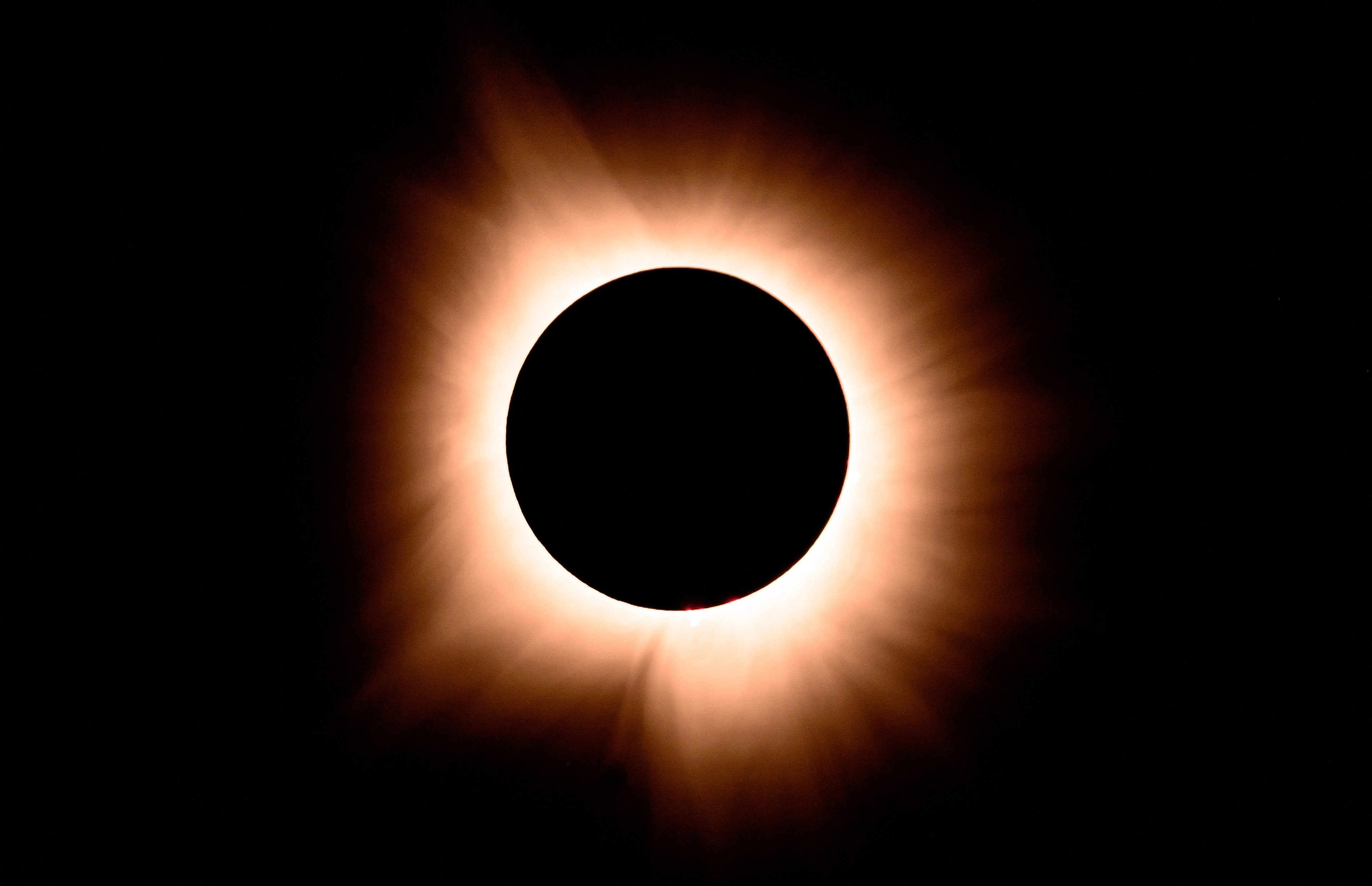 Eclipse solar mais longo da história será visível no Brasil; saiba onde assistir 500 espécies de pássaros podem desaparecer no próximo século por causa da 'ação humana'; veja quais (Foto: Reprodução)