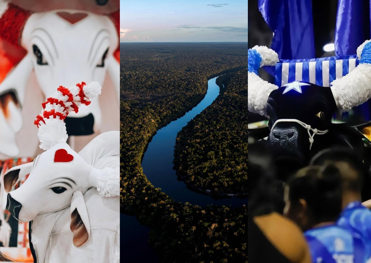 Bois de Parintins promovem disputa do bem em prol da preservação da Amazônia Caprichoso e Garantido disputam quem consegue mais assinaturas para projeto de preservação da Amazônia (Foto: Reprodução/Instagram)