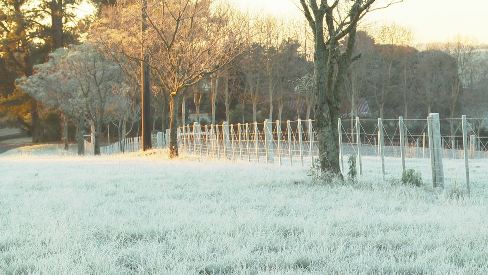 Frio intenso atinge o Centro-Sul e mínimas chegam a -7°C em cidades do Sul Registro do frio desta semana em Passo Fundo, no Rio Grande do Sul. (Foto: Jean Pimentel/RBS TV)