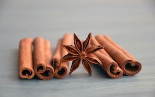 Crie um purificador de ar ecológico com itens que você já tem em casa