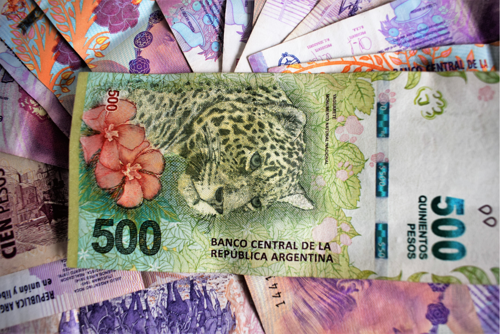 Foto:Reprodução