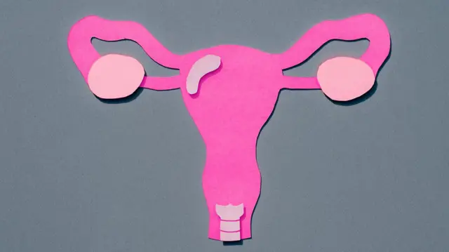 A mobilidade do útero é essencial para a saúde do sistema reprodutor feminino A mobilidade do útero é essencial para a saúde do sistema reprodutor feminino