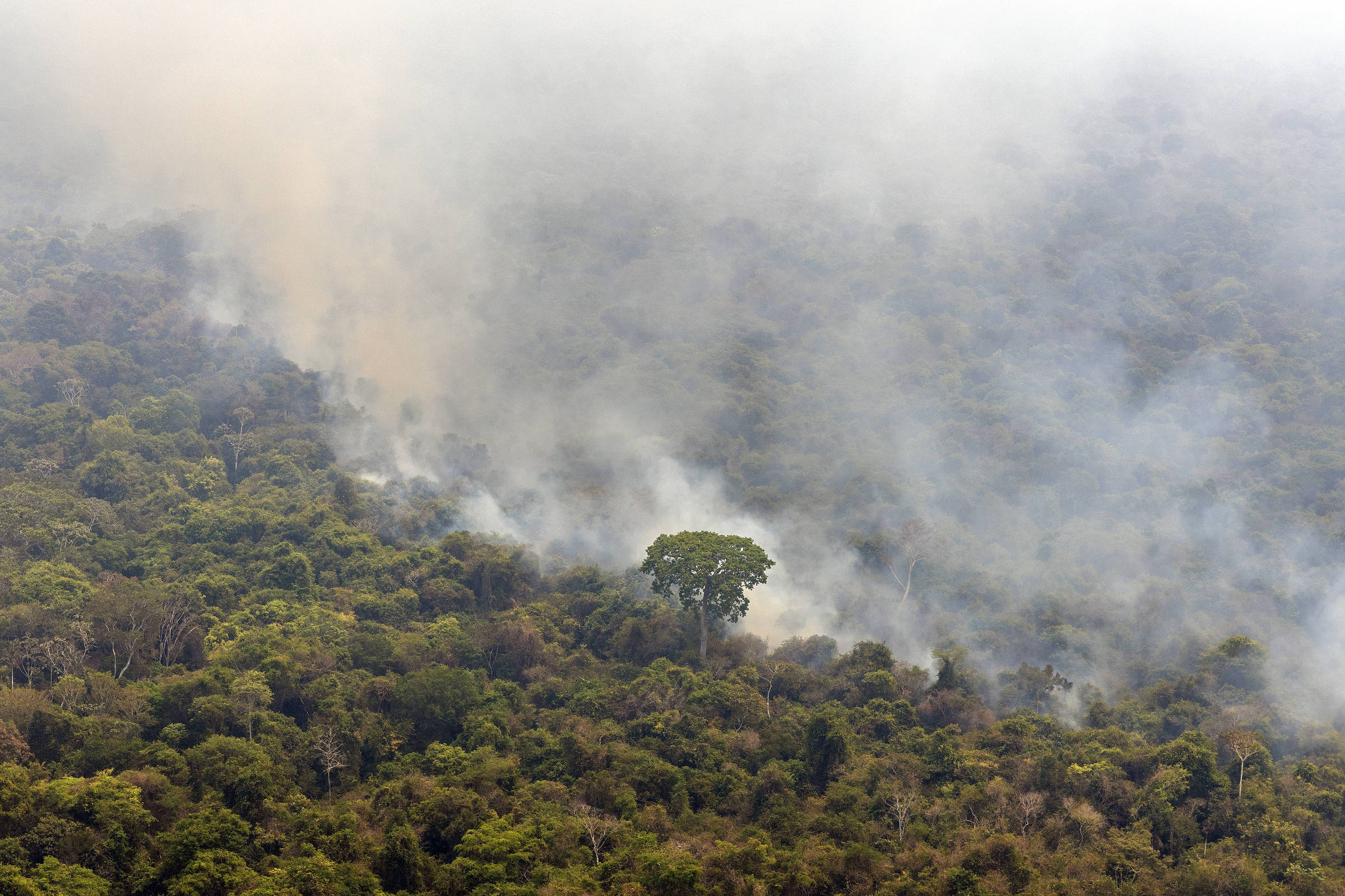 Queimadas e extração de madeira na Amazônia causam impactos por décadas, revela estudo Incêndio na Terra Indígena Kayapó (Pará), na floresta amazônica, em setembro de 2024 (Foto: Marizilda Cruppe/Greenpeace Brasil/Divulgação)