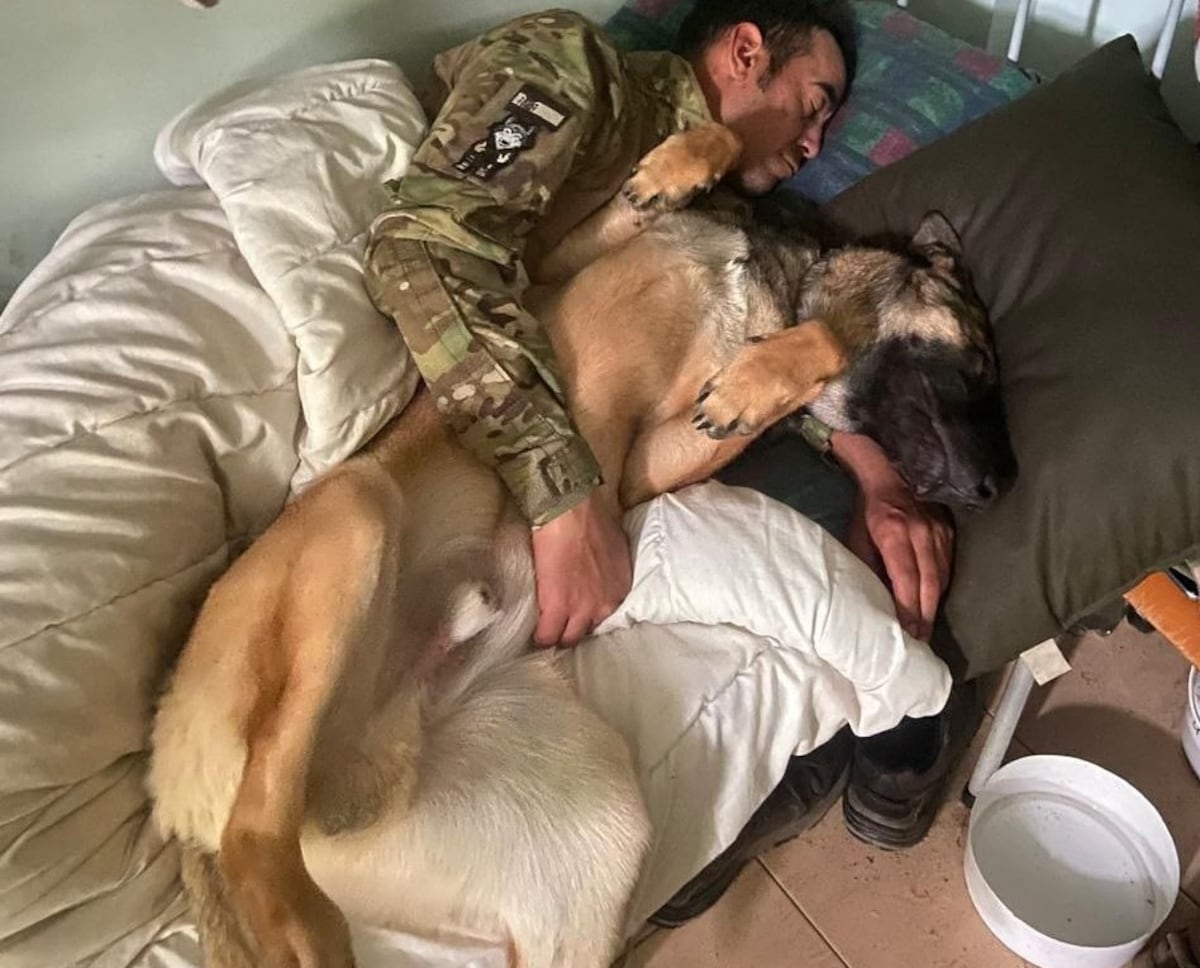 Soldado espanhol morto em Ucrânia é lembrado pela busca de seu cachorro 'Josy' Miguel Carmona e Josy, em junho passado na província de Donetsk. (Foto: cedida por seus companheiros de pelotão)