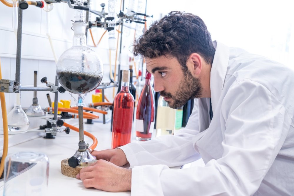 Cientistas monitoram diariamente a qualidade dos vinhos em Pessac Foto: Reprodução