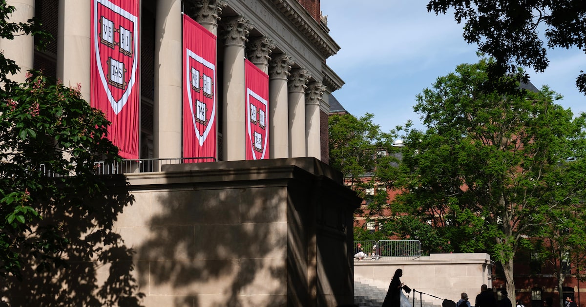 Conservadores propõem novas abordagens para o ensino nas universidades brasileiras Estudantes tiram fotos na livraria da Universidade de Harvard, em Cambridge (Foto: Sophie Park/NYT)