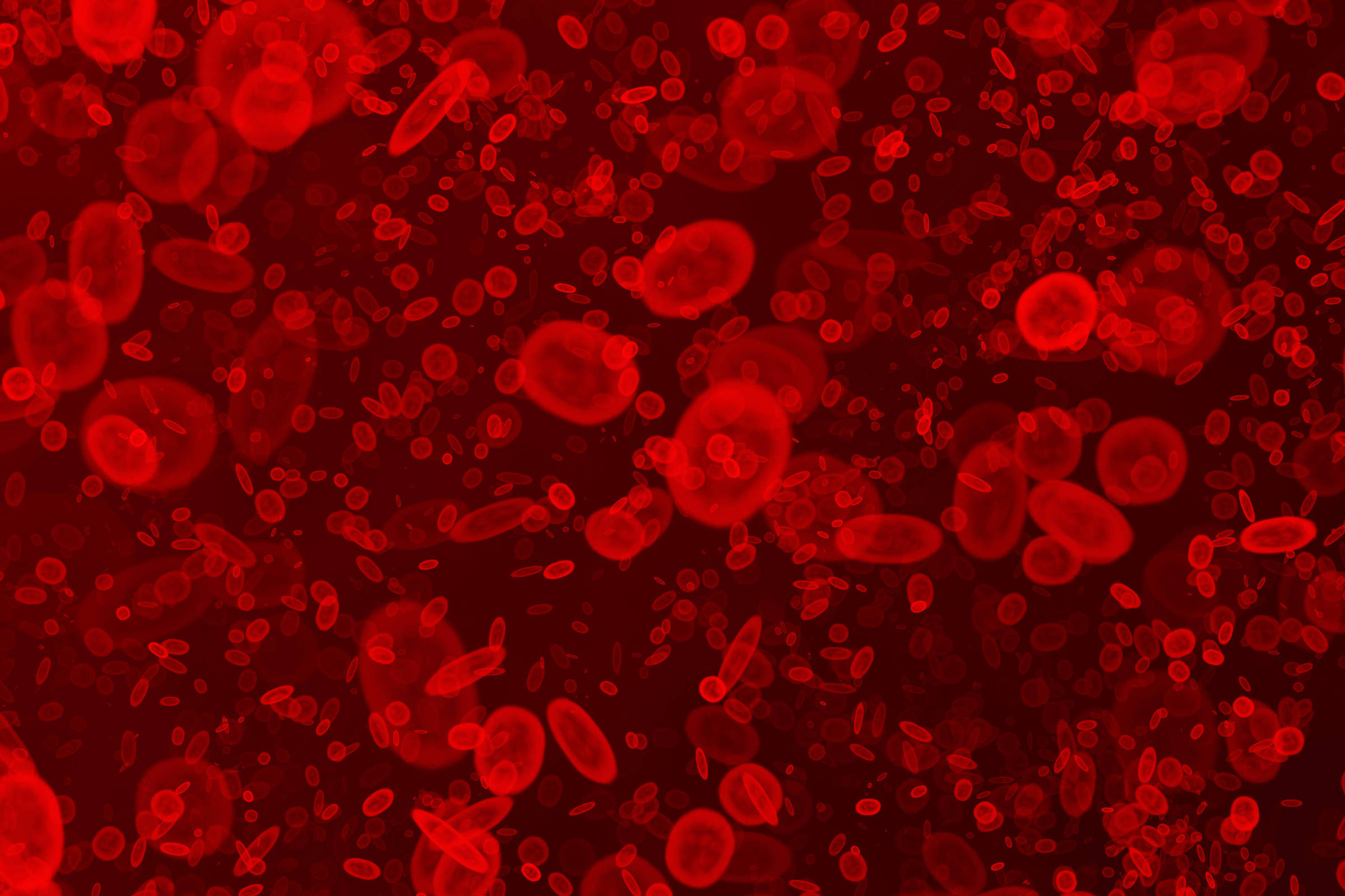 Cientistas desenvolvem sangue artificial em laboratório como nova esperança médica Células sanguíneas (Foto: Argus/Adobe Stock)